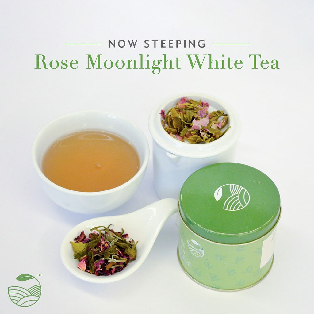 The Tea Shelf | Branding and Marketing Designs 22 tts dm 1