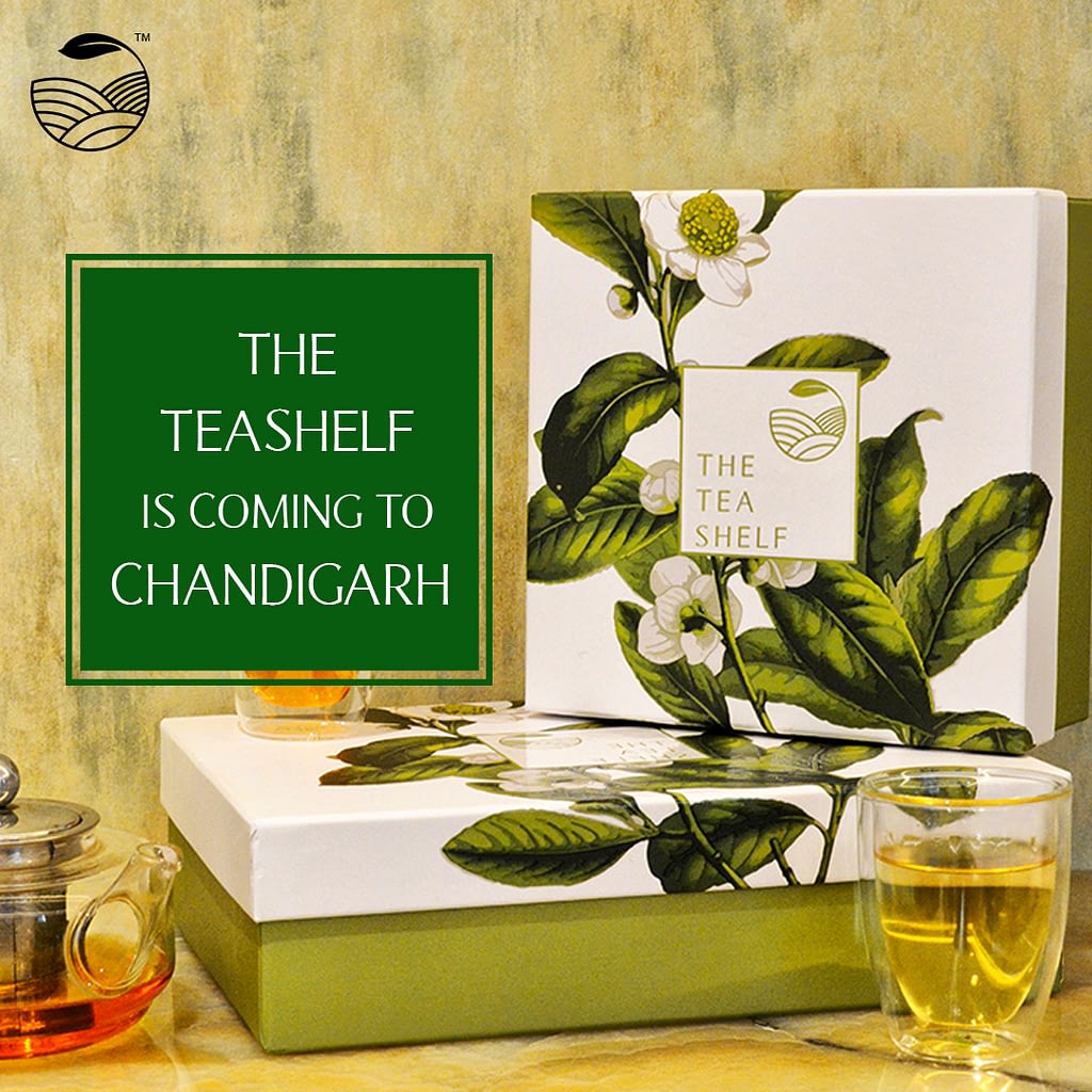 The Tea Shelf | Branding and Marketing Designs 27 tts dm 6