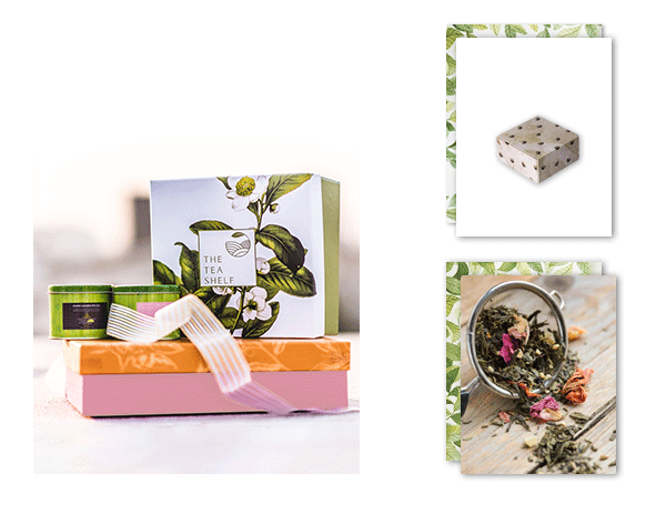 The Tea Shelf | Branding and Marketing Designs 34 tts dm 13