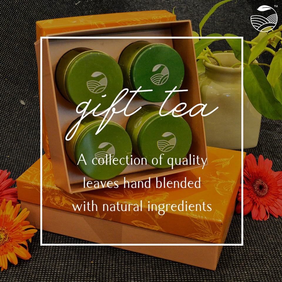 The Tea Shelf | Branding and Marketing Designs 26 tts dm 5